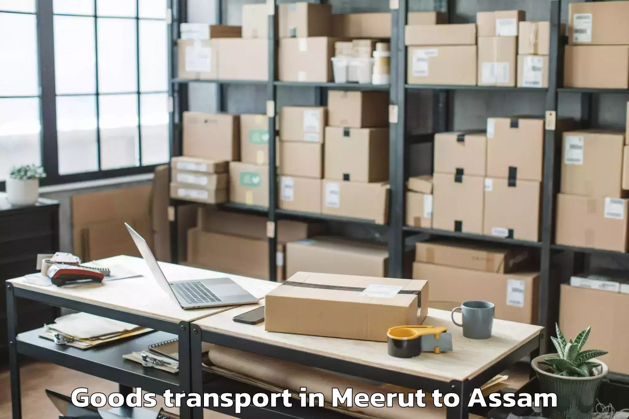 Expert Meerut to Likabali Goods Transport